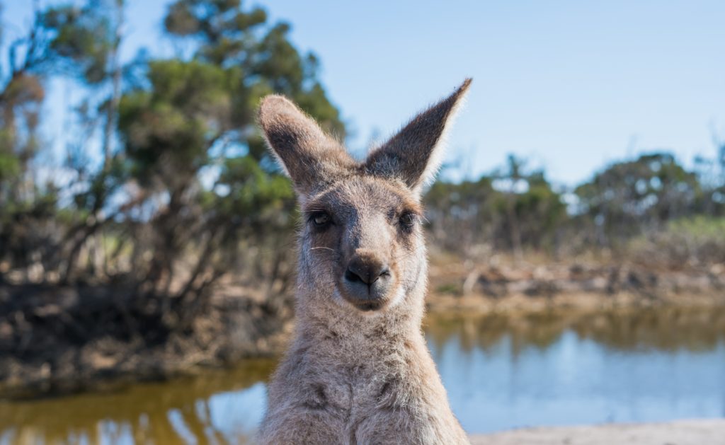 Peau à peau - Méthode kangourou